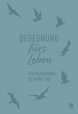 Begegnung fürs Leben, Kunstleder - 