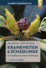 Krankheiten & Schädlinge an Zierpflanzen, Obst und Gemüse - Böhmer, Bernd; Wohanka, Walter