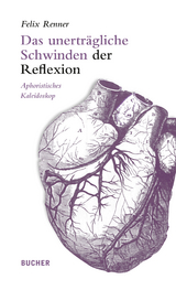 Das unertr&auml;gliche Schwinden der Reflexion - Felix Renner