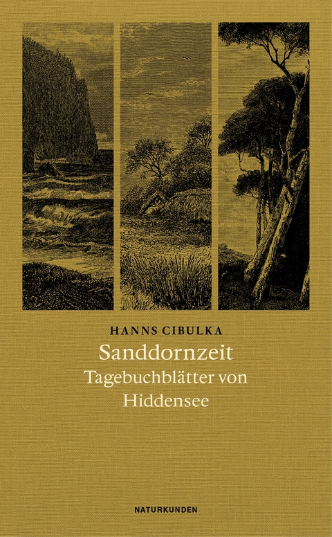 Sanddornzeit - Hanns Cibulka