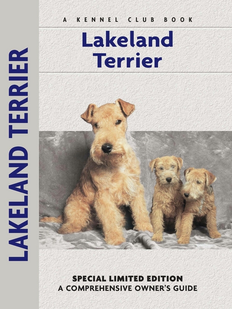 Lakeland Terrier - Patricia Peters