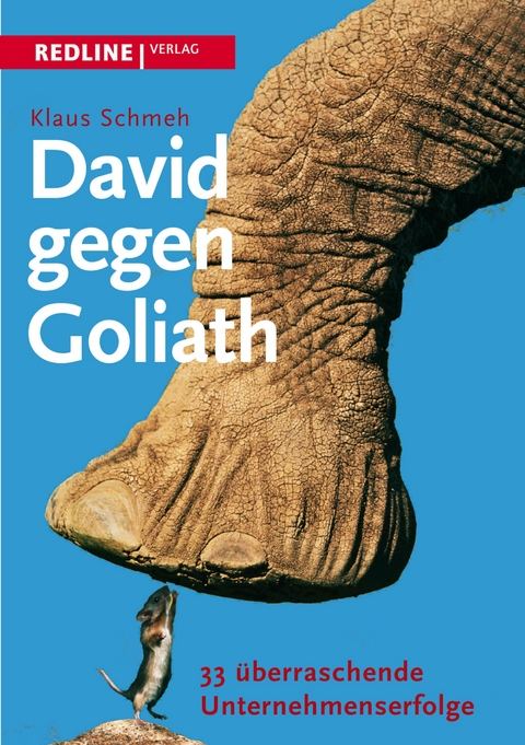 David gegen Goliath -  Klaus Schmeh