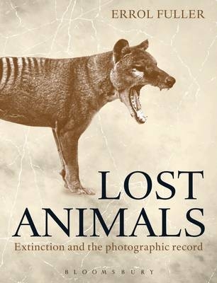 Lost Animals -  Errol Fuller