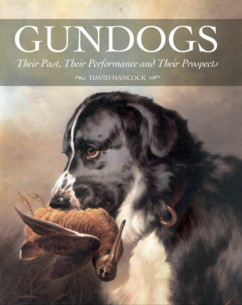 Gundogs -  David Hancock
