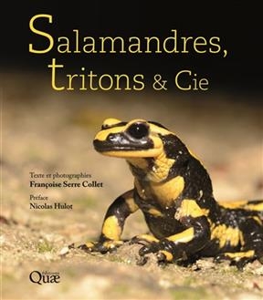 Salamandres, tritons & Cie - Fran&ccedil;oise Serre-Collet