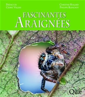 Fascinantes araign&eacute;es - Christine Rollard, Philippe Blanchot