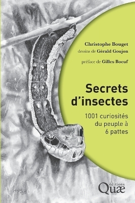 Secrets d'insectes - Christophe Bouget