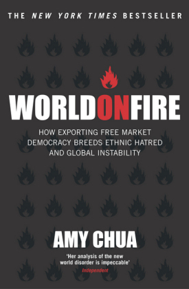 World On Fire -  Amy Chua