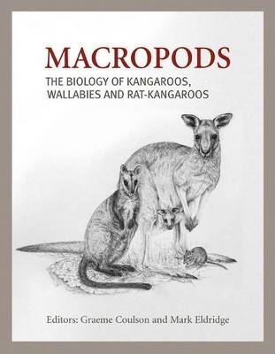 Macropods - 