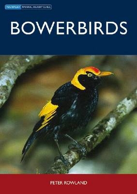 Bowerbirds -  Peter Rowland