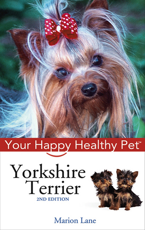 Yorkshire Terrier - Marion Lane