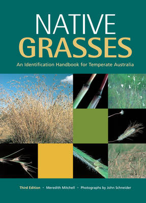 Native Grasses -  Meredith Mitchell