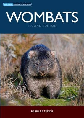 Wombats