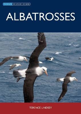 Albatrosses
