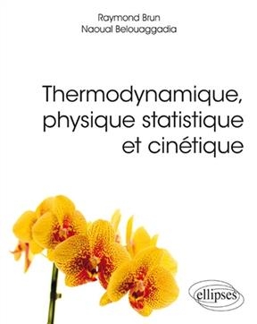 Thermodynamique, physique statistique et cin&eacute;tique - Raymond Brun, Naoual Belouaggadia