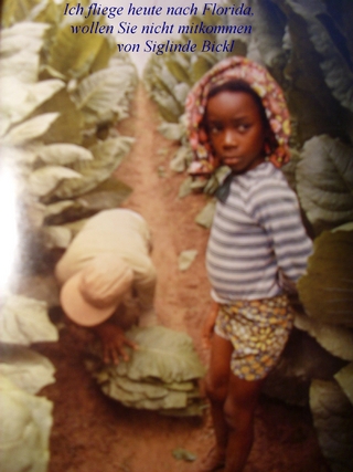 Heute fliege ich nach Florida