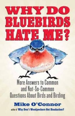 Why Do Bluebirds Hate Me? -  Mike O'Connor