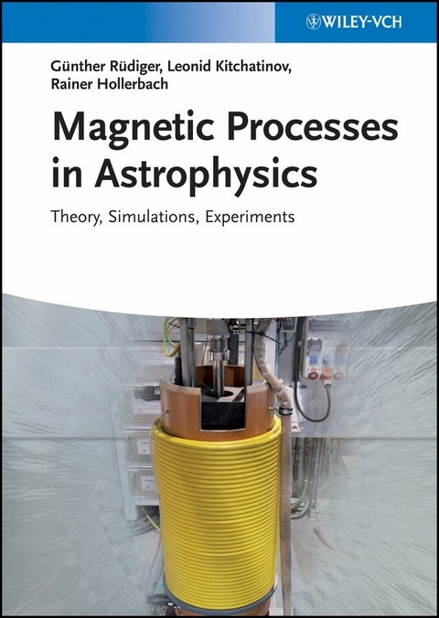 Magnetic Processes in Astrophysics - Günther Rüdiger, Rainer Hollerbach, Leonid L. Kitchatinov