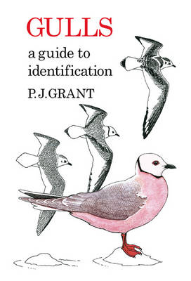 Gulls: A Guide to Identification. 2nd Edition -  P.J Grant
