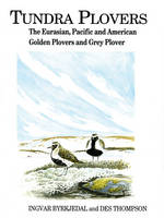 Tundra Plovers -  Ingvar Byrkjedal,  Des Thompson