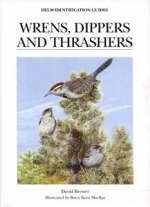 Wrens, Dippers and Thrashers