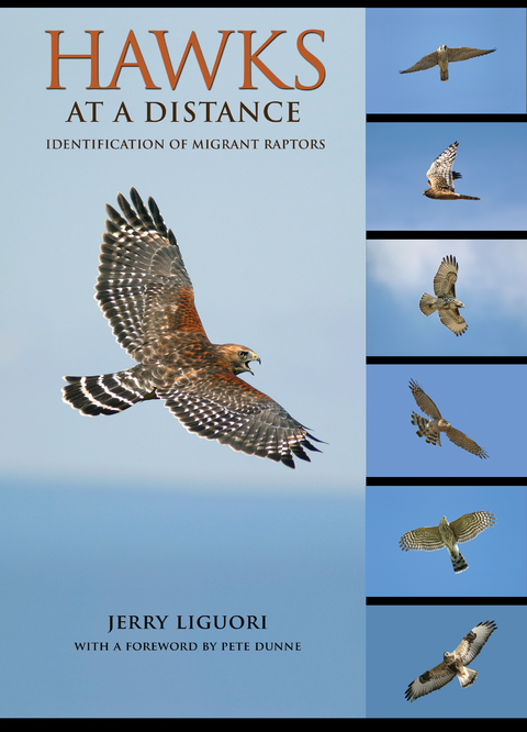 Hawks at a Distance - Jerry Liguori