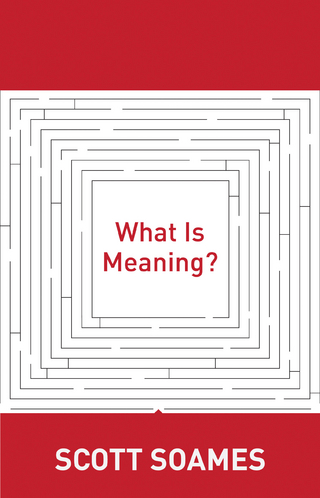 What Is Meaning?