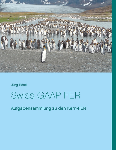 Swiss GAAP FER - J&uuml;rg R&ouml;sti