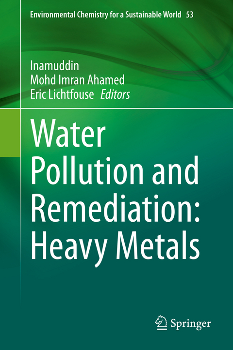 Water Pollution and Remediation: Heavy Metals - 