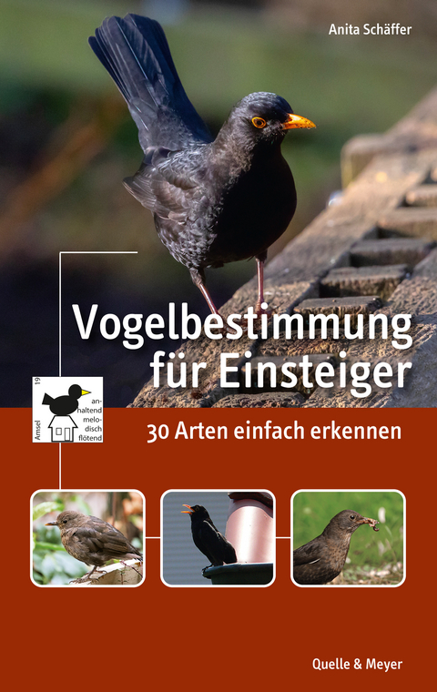 Vogelbestimmung f&uuml;r Einsteiger - Anita Sch&auml;ffer