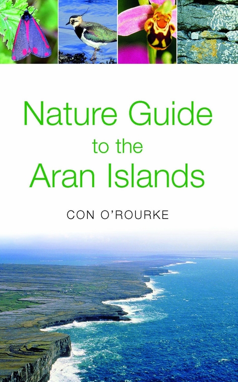 Nature Guide to the Aran Islands - Con O'Rourke