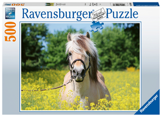 Pferd im Rapsfeld (Puzzle)