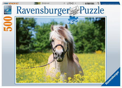 Pferd im Rapsfeld (Puzzle)