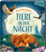Mein Pop-up-Buch &ndash; Tiere in der Nacht - Becky Davies