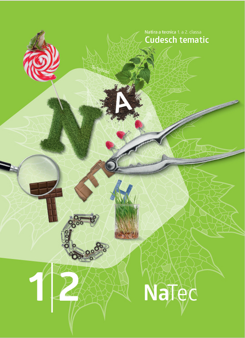 NaTec 1I2 - Katrin B&ouml;lsterli Bardy, Patric Brugger, Maja Br&uuml;ckmann, Eva von Fischer, Thomas Flory, Maria Jakober, Susanne Metzger, Lorenz M&ouml;schler, Nicole M&uuml;ller, Stephanie Naki, Christof Oser, Gaby Schweizer, Nicole Schwery, Sebastian Tempelmann, Markus Vetterli, Juliette Vogel, Claudia Zenklusen, Annina Zollinger