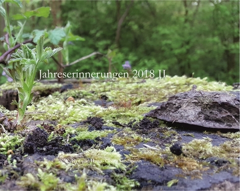 Jahreserinnerungen 2018 II - Hans-Georg Sandmann, Evelyn Sandmann