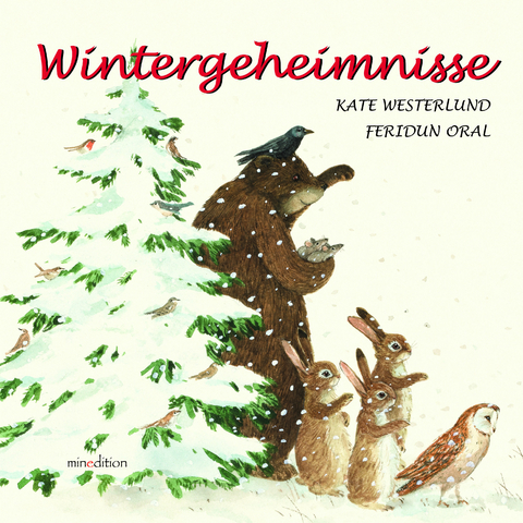 Wintergeheimnisse - Kate Westerlund