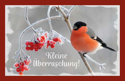 Kleine Überraschung!