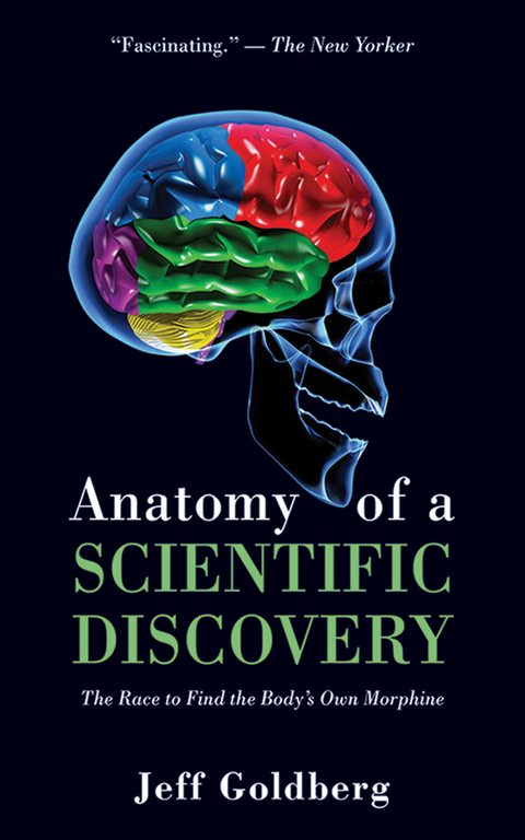 Anatomy of a Scientific Discovery -  Jeff Goldberg