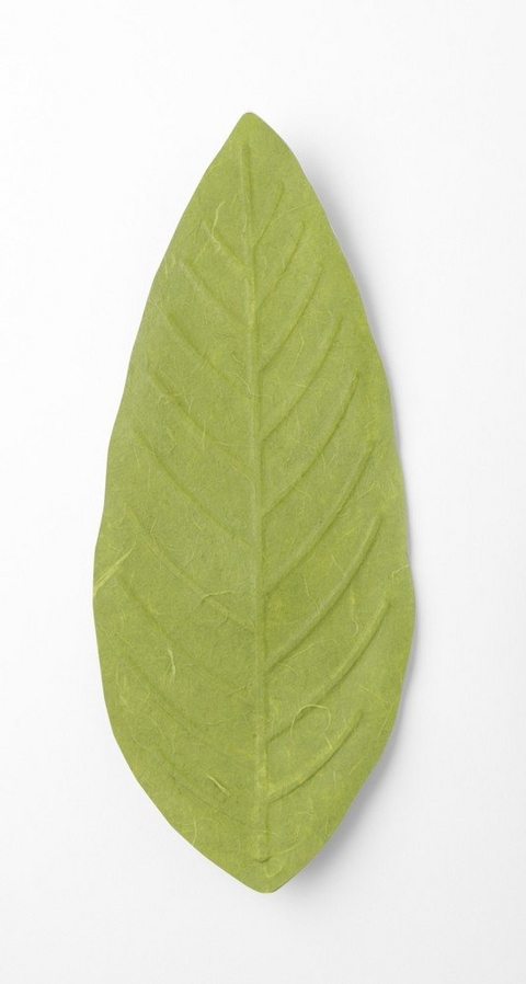 Flexible Hanji-Papierschale Blatt Gr&uuml;n