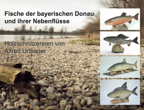 Fische der bayerischen Donau und ihrer Nebenfl&uuml;sse - Alfred Urlbauer