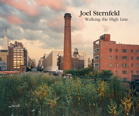 Walking the High Line - Joel Sternfeld
