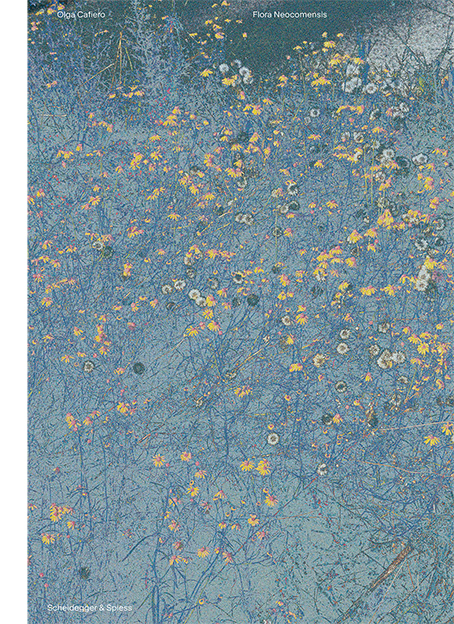 Olga Cafiero &ndash; Flora Neocomensis - Thierry B&eacute;guin, Pierre-Emmanuel Du Pasquier, Timoth&eacute;e L&eacute;chot, Dana&eacute; Panchaud