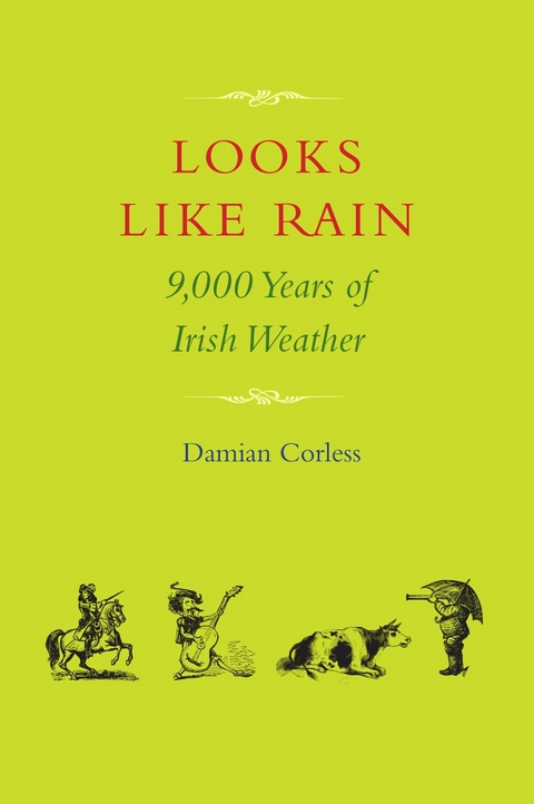 Looks Like Rain -  Damian Corless