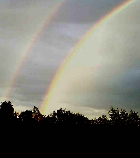 Abschied und Neubeginn - Brushwood Mikel