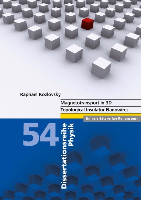 Magnetotransport in 3D Topological Insulator Nanowires - Raphael Kozlovsky