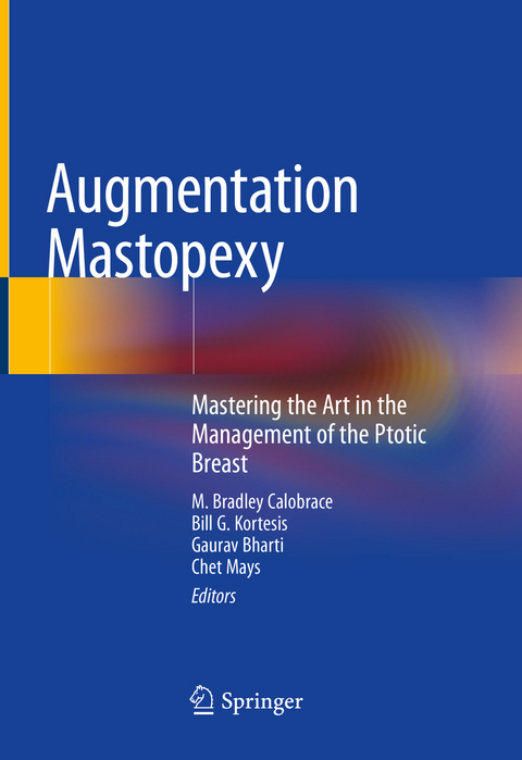 Augmentation Mastopexy - 