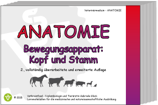 Anatomie: Kopf und Stamm