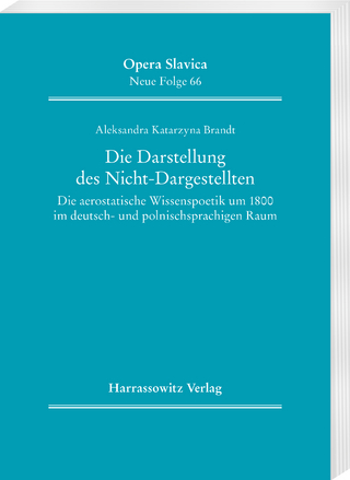 Die Darstellung des Nicht-Dargestellten
