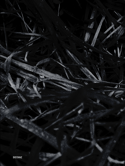 Last Year&rsquo;s Nest - Paul Bellaart